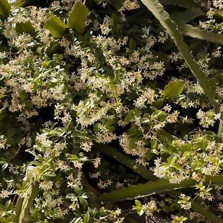 Four Seasons Of Bliss At Sohora Herberg *